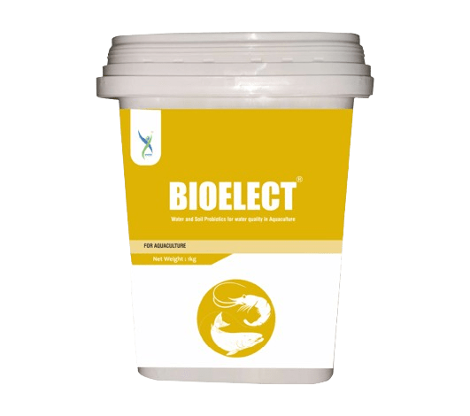 Bioelect – Water and Soil Probiotics for Aquaculture