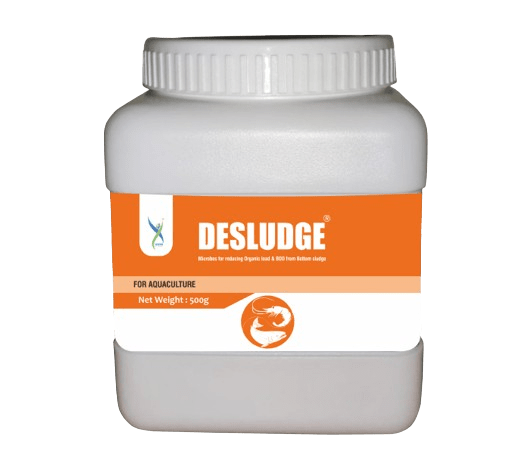 Desludge – Sludge Bacteria for Ponds and Aquaculture