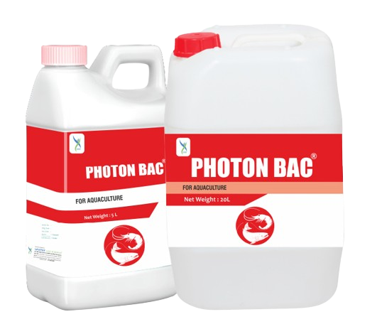 PHOTON-BAC