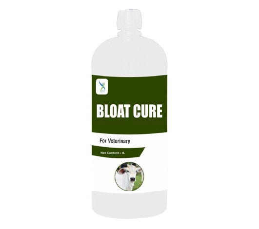 BLOAT CURE