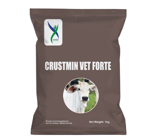 CRUSTMIN VET FORTE